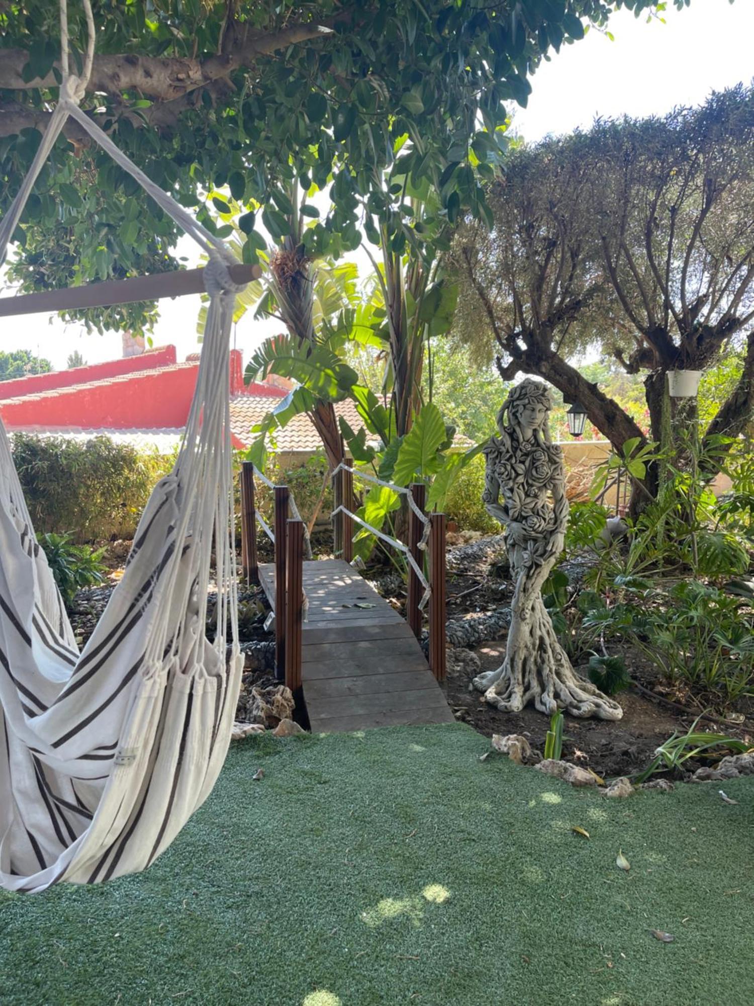 Habitacion Agregada, Suite Frente A La Piscina 2 P Habitacion No Casa Completa San Vicente Raspeig ภายนอก รูปภาพ